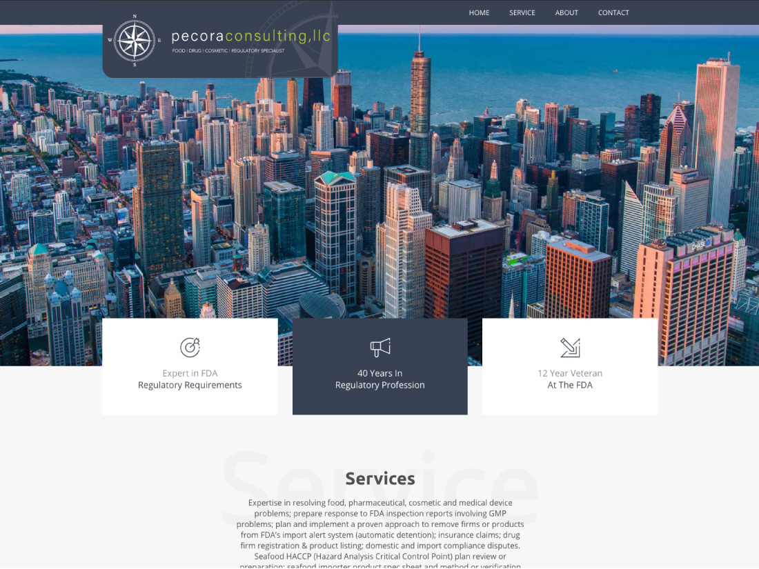 Pecora Consulting Website Design